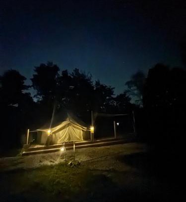 Horse Cave Other | Discover Mammoth Cave Glamping: Pet and Child Friendly Stay