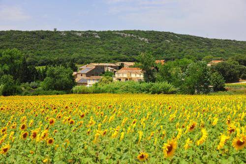 Baron Bed & Breakfast | Spacious Bed and Breakfast for 6 with Private Pool