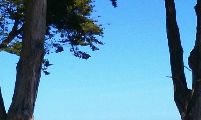 Saint-Georges-d'Oleron Hotel | Relaxing Getaway: Steps from the Sea Near Chassiron Lighthouse