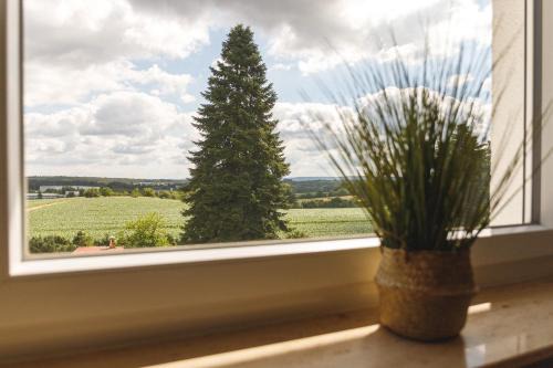 Bexbach Apartment | Inviting 100 qm DG Wohnung 《Kehr wieder》in Bexbach Saarland