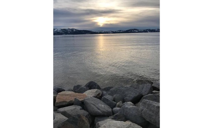 Y Area Apartment | Pet-Friendly Retreat: The Fallen Leaf Studio #11 Awaits You