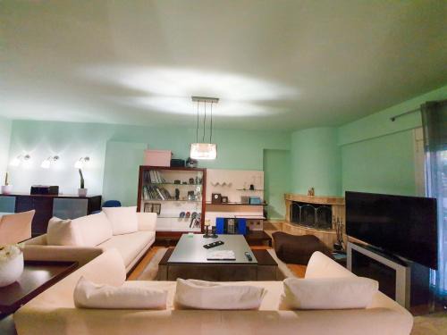 Komotini Villa | Spacious 130m2 Villa with Full Comforts for Families & Pets