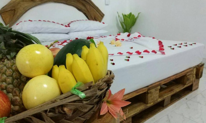 Thoddoo Bed & Breakfast | 16 m² Bed and breakfast ∙ 3 guests