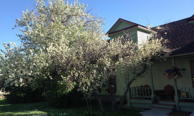 Big Timber House | 1910 Montana Charm! Experience the warmth and feel of a small- town home!
