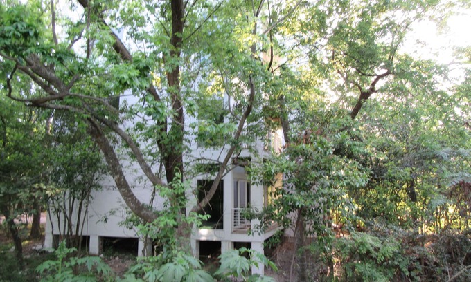 Washington Ave./ Memorial Park Apartment | Cozy Retreat Next to Bayou Trails in Heights Area