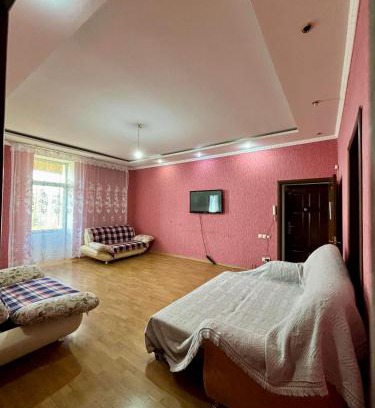 Balkhash Apartment | 2-комнатная Большая в центре