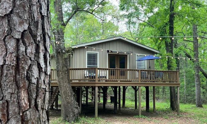 Montgomery House | Relaxing Treehouse Hideout at Lake Conroe with Boat Ramp