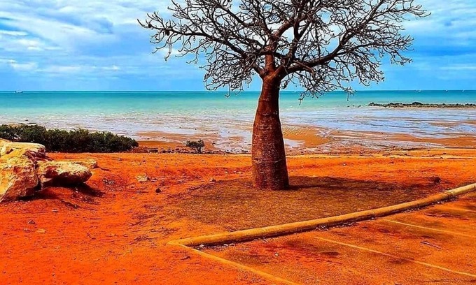 Cable Beach Cottage | Inviting 2 Bed 2 Bath Getaway in Central Broome
