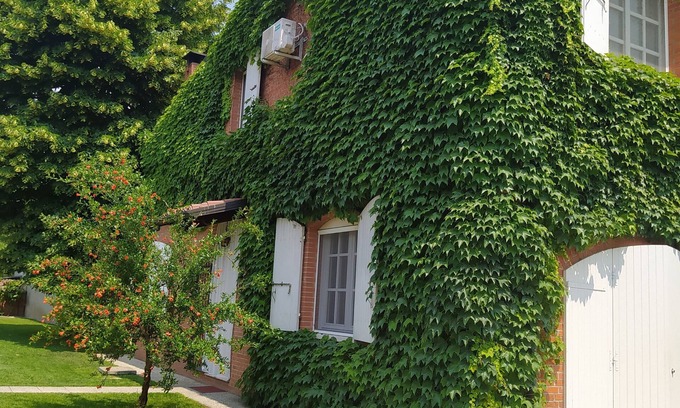 Drizzona Apartment | Cozy Vrbo Property with Kitchen & Breakfast for Families