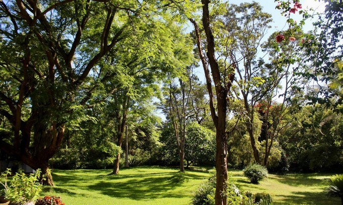 Mutare Apartment | Cozy 2 Bedroom House with Beautiful Garden & Pet Friendly