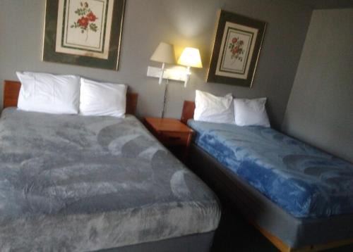 Livingston Apartment | 2 Double Bed Hotel Studio 203