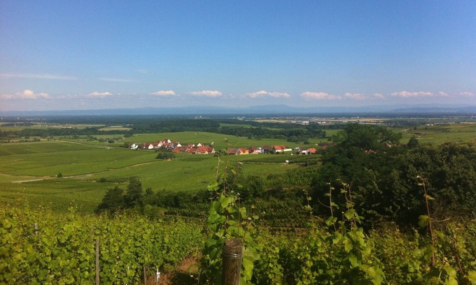 Blienschwiller Apartment | Budget-Friendly Rooms in Alsace on the Wine Route