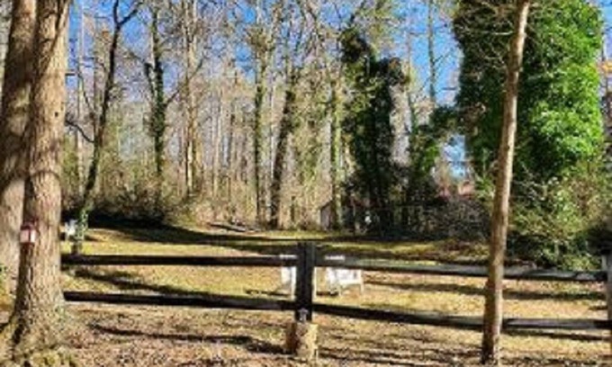 Mountain City House | Rustic Cabin Retreat in Beautiful Clayton, Georgia