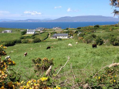 Louisburgh Bed & Breakfast | Cozy 28 m² Bed and Breakfast with Kitchen for Two Guests