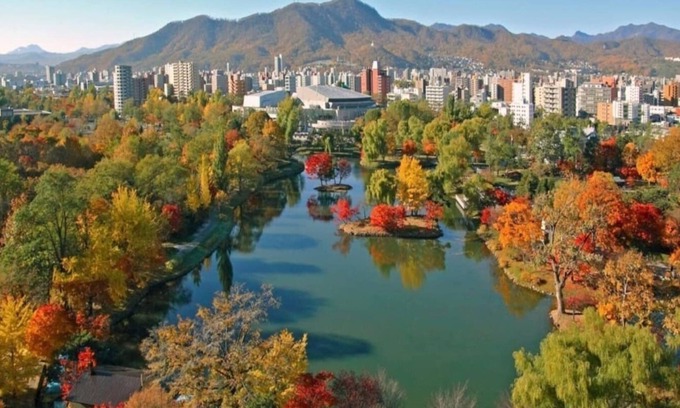 Nakajimakoen Apartment | Experience Park Views at Amstower Nakajima 2003 Sapporo