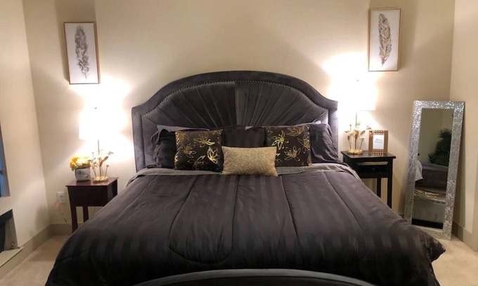 Astrodome Apartment | 2BR/2BA Medical Center & Museum District Across MD Anderson, Minutes to Downtown