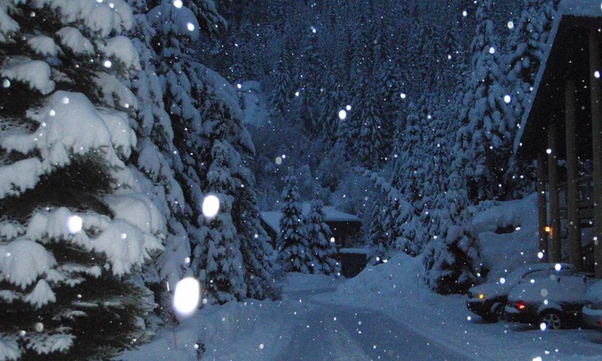 Nordic Estates House | Experience Ski-in/Ski-out Comfort in a Serene Forest Retreat