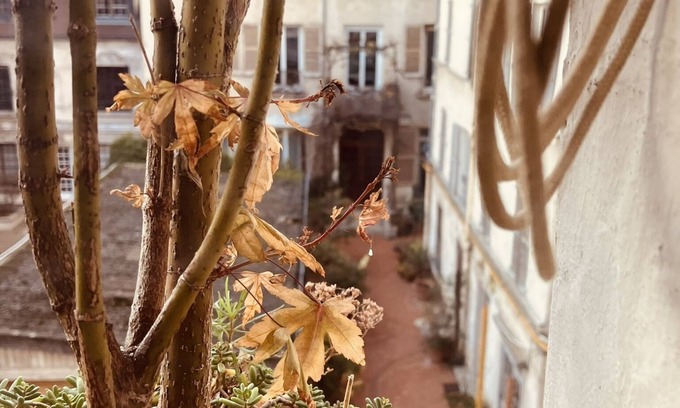 Saint-Victor Bed & Breakfast | Independent Rooms in the Heart of Paris for Family Stays