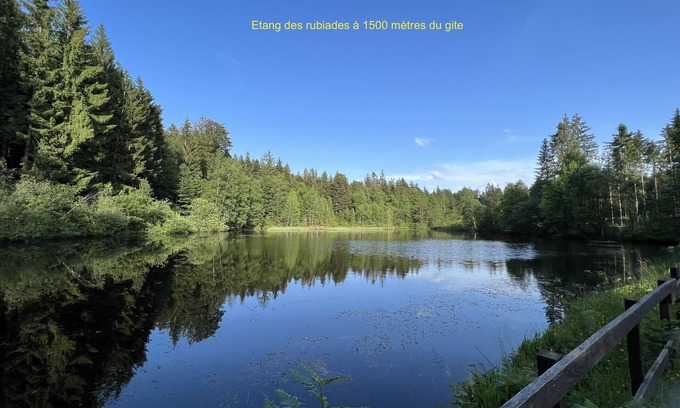 Cleurie Apartment | Cozy Gite Near Forest Trails - Pet & Child Friendly Stay