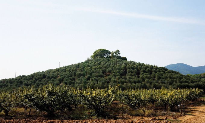Castiglione della Pescaia House | Experience the Breathtaking "Africa" Apartment on Tuscan Coast