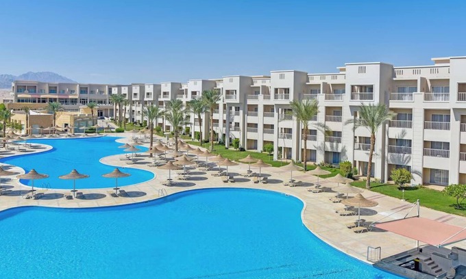 Soma Bay Hotel | 3-Room Group Stay | Beachfront Bliss with Spa, Dining & Sandy Shore Access