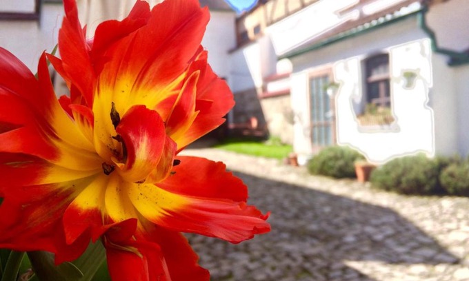 Zwatzen Apartment | Pet-Friendly 3 Seiten Ferienwohnung with High Guest Ratings
