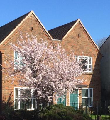 Summertown Apartment | Experience Elegance at 3 Summertown Court - A Top Rated Stay