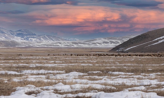 Jackson Hole Apartment | Elegant 311 Hidden Hollow Elk Refuge Penthouse Retreat