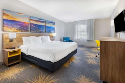Hollins Hotel | 317B Days Inn I81 king room