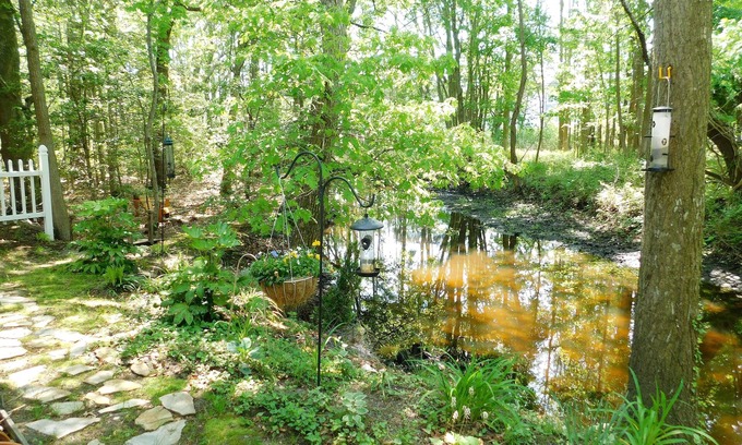 Clearwater House | Pet-Friendly Retreat at 34039 Monterray Avenue, Clearwater
