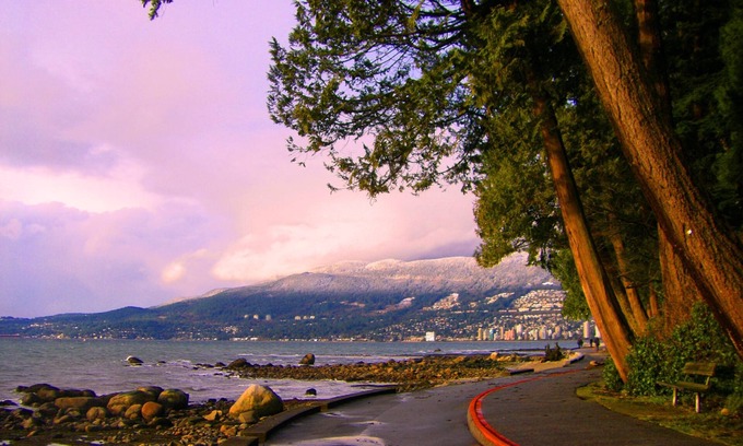 Coal Harbour House | ❤️3BR/3BA Downtown Luxury Townhouse❤️