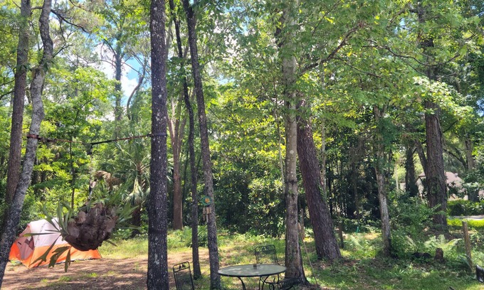 Homosassa House | Experience Comfort Just 4.5 Miles from Macraes Boat Ramp
