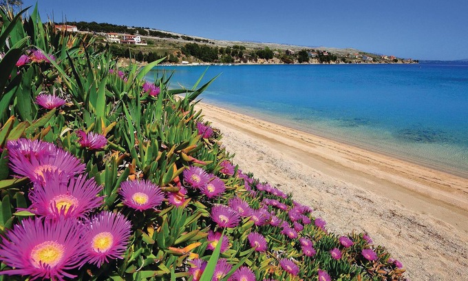 Miskovici Apartment | Cozy Vacation Apartment with Ocean View in Peaceful Village