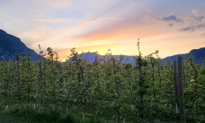 Okanagan-Similkameen Cabin | 4 Bedrooms with Orchard Views