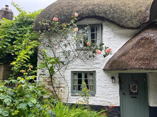 Ringmore House | Cozy 4 Cumberland Cottages - Pet Friendly Retreat Awaits