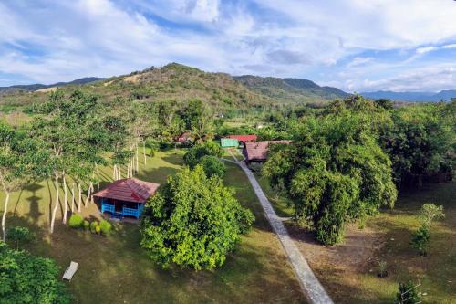 East Manggarai Bed & Breakfast | Discover 4 Pohon - Les 4 Arbres with Private Beach Access