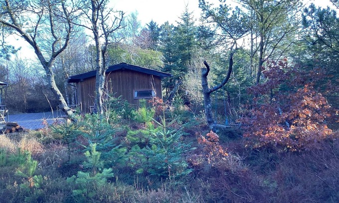 Aalbaek House | 4 star holiday home in Ålbæk