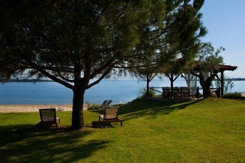 Vourvourou Apartment | Inviting 4Elies Apartments: Oceanfront, Pet-Friendly Retreat