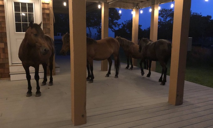 Carova Beach House | Canal Front Haven with Ocean Views and Pet-Friendly Perks