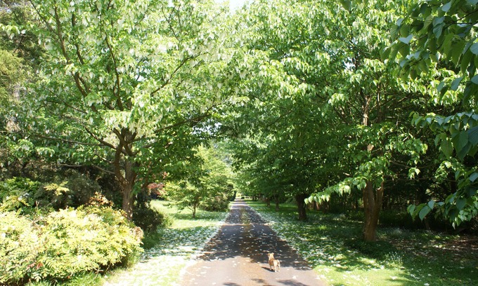 Warnham House | Idyllic 5-Bed Retreat with Pool in Private Garden Oasis