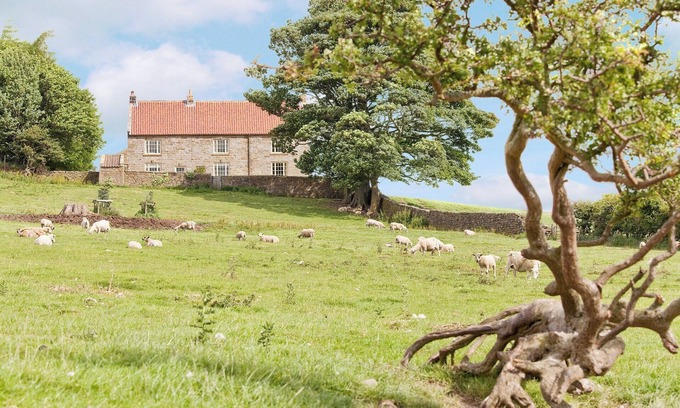 Kildale Cottage | Beautiful 5-Bedroom Retreat in Kildale, Near Whitby