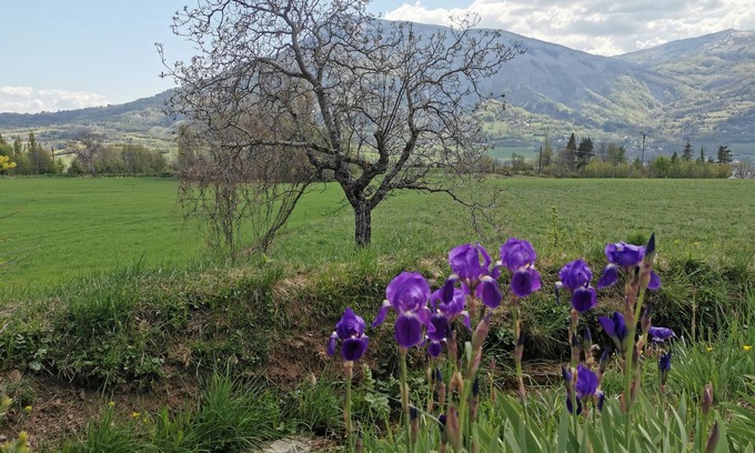 La Roche-des-Arnauds House | Family-Friendly 6-Person House with Garden and Balcony