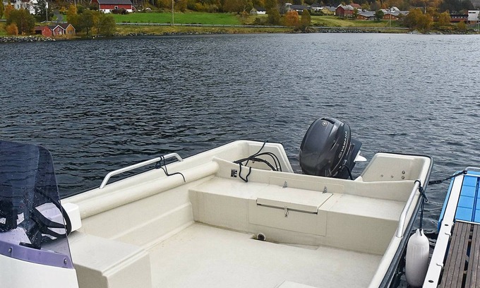 Ulstein Municipality House | Pet-Friendly Holiday Home for 6 with Ocean Views