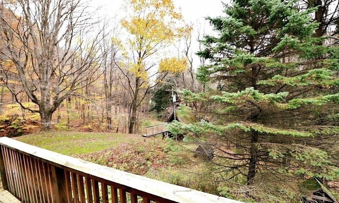 Little Valley Cabin | Comfortable 3 Bedroom Home with Pet-Friendly Amenities