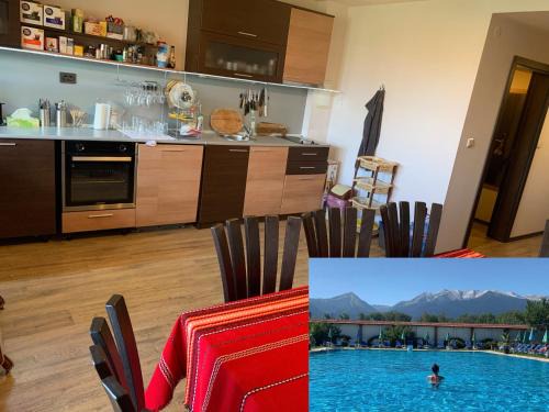Razlog Apartment | Cozy 7 Apartments in Alexander Complex with Ocean View