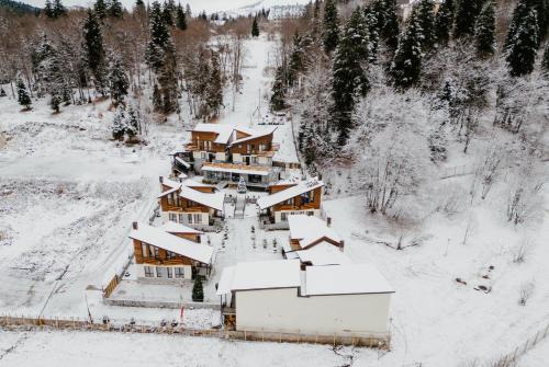 Bakuriani Ski Chalet | Cozy Cottages in Bakuriani: Pet-Friendly & Family Fun