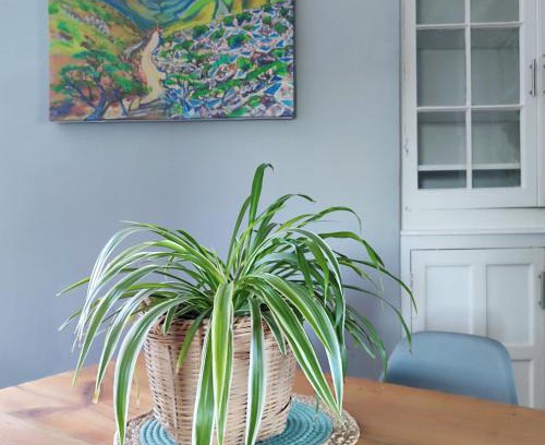 Adelaide Apartment | Kid-Friendly Comfort at 7 on Market Square Hotel