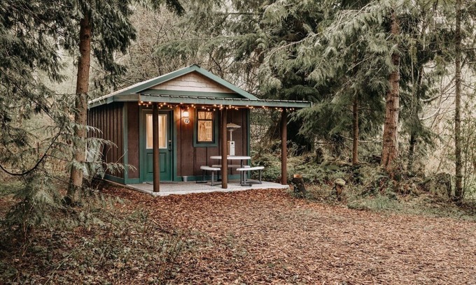 Maple Falls Cabin | Rustic Pet-Friendly Retreat for Two with Kitchen Access