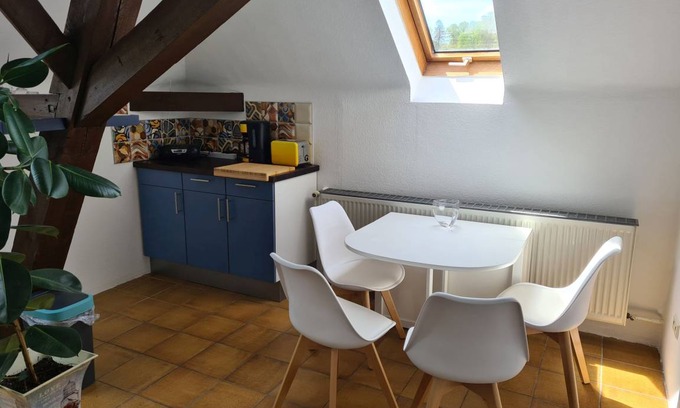 Adelsheim Apartment | Spacious 1 Bedroom Apartment for Up to 6 Guests