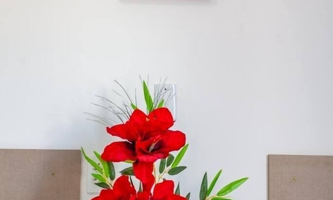 Passare House | Discover Private Accommodation with Kitchen & Breakfast!